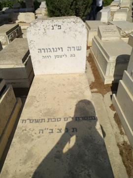תמונת מצבה