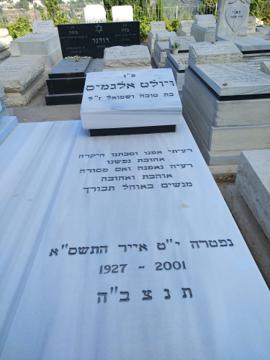 תמונת מצבה