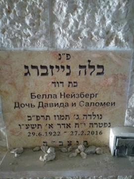 תמונת מצבה