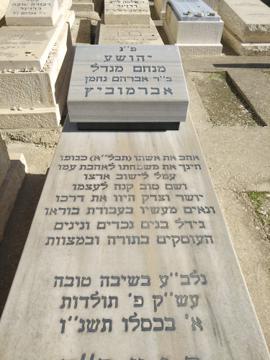 תמונת מצבה