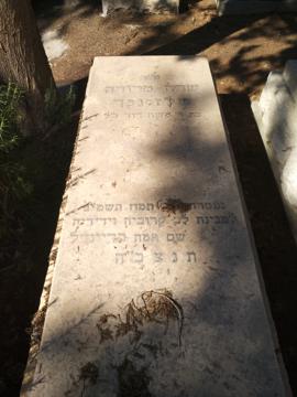 תמונת מצבה