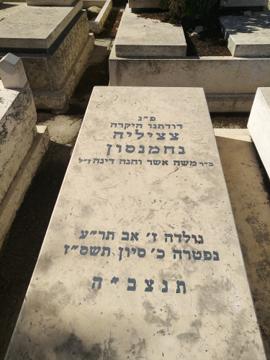 תמונת מצבה