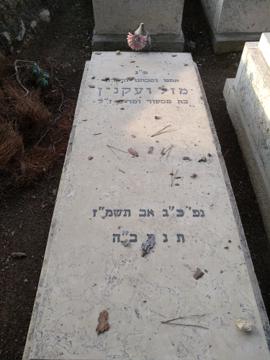 תמונת מצבה