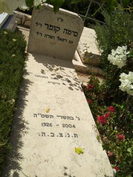 תמונת מצבה