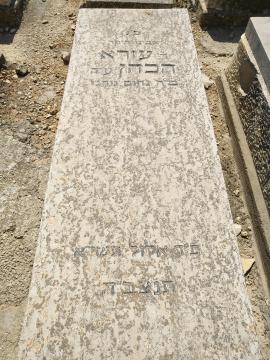 תמונת מצבה