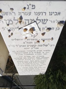תמונת מצבה