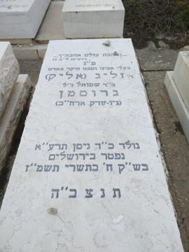 תמונת מצבה