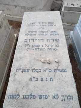 תמונת מצבה