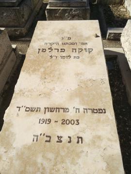 תמונת מצבה