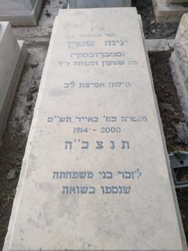 תמונת מצבה