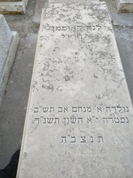 תמונת מצבה