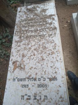 תמונת מצבה