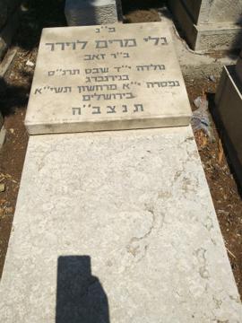 תמונת מצבה