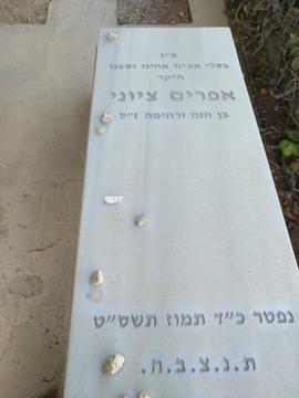 תמונת מצבה