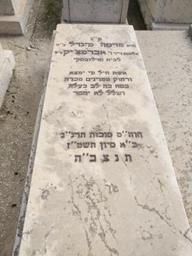 תמונת מצבה
