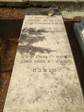 תמונת מצבה