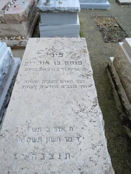 תמונת מצבה