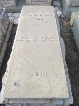 תמונת מצבה