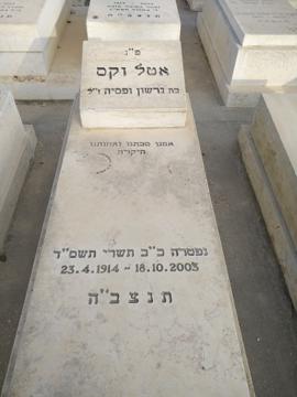 תמונת מצבה
