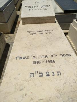 תמונת מצבה