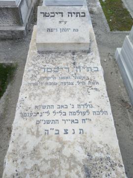 תמונת מצבה