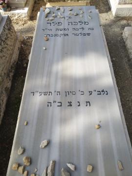 תמונת מצבה