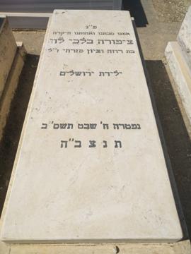 תמונת מצבה