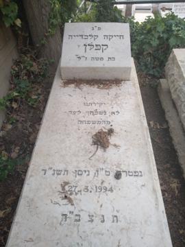 תמונת מצבה