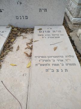 תמונת מצבה
