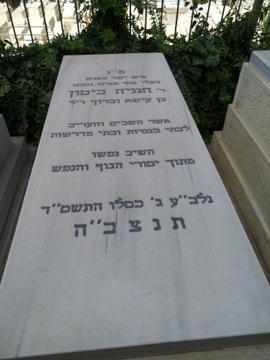 תמונת מצבה