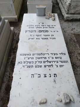 תמונת מצבה