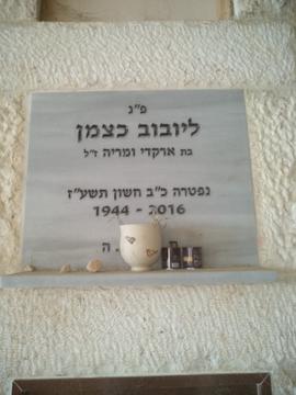 תמונת מצבה