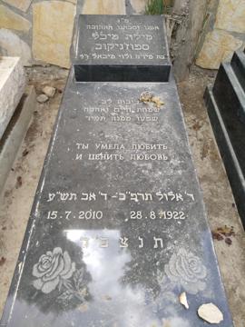תמונת מצבה