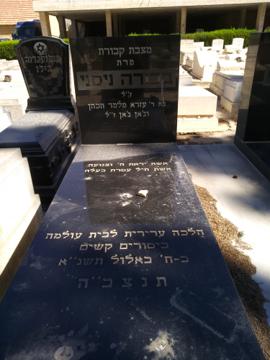 תמונת מצבה