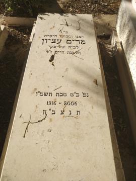 תמונת מצבה