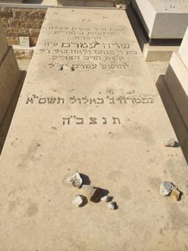 תמונת מצבה