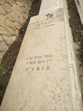 תמונת מצבה