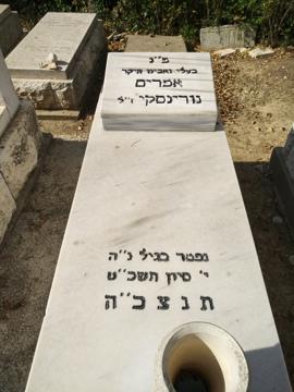 תמונת מצבה