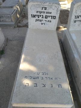 תמונת מצבה