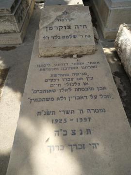 תמונת מצבה