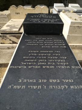 תמונת מצבה