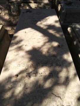 תמונת מצבה
