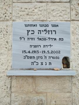 תמונת מצבה
