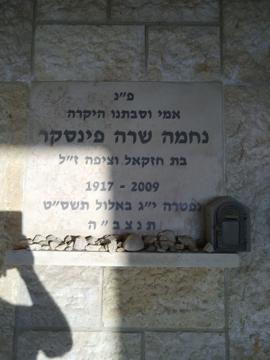תמונת מצבה