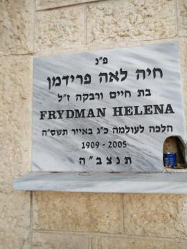 תמונת מצבה