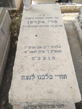 תמונת מצבה