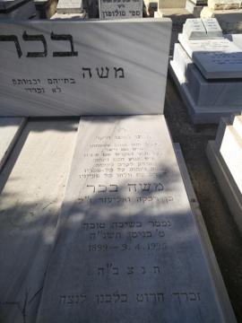 תמונת מצבה