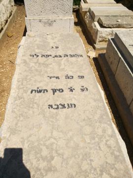 תמונת מצבה