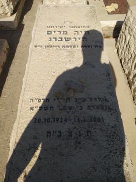 תמונת מצבה