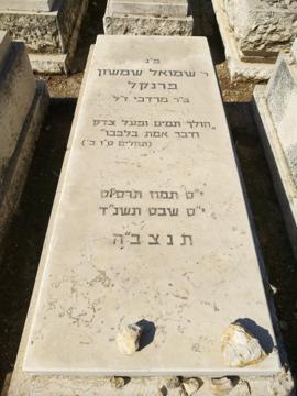 תמונת מצבה